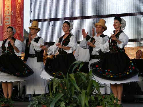 Foto Ansamblu Transilvania - Baia Mare (c) eMaramures.ro