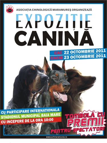 Foto: expozitie canina Baia Mare