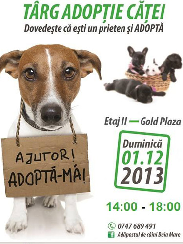 afis targ de adoptii