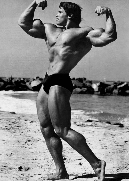 Fotot: Arnold Schwarzenegger (c) facebook.com