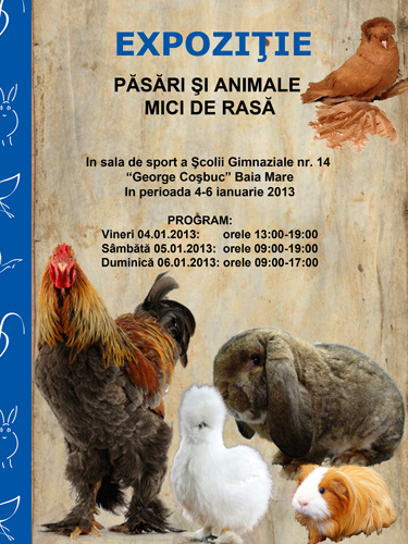 Foto: afis expo animale si pasari mici Baia Mare, 2013
