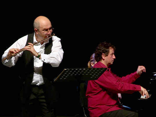 Concert Ion Bogdan Stefanescu