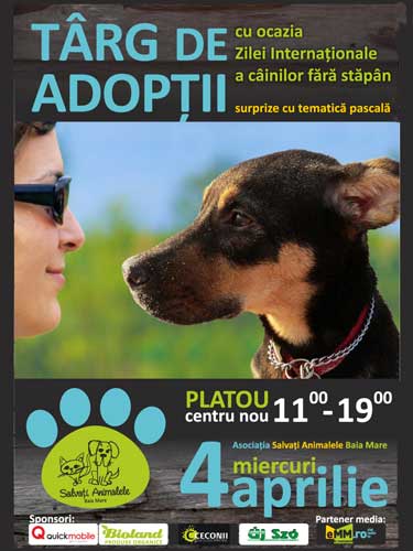 Targ de adoptii in Baia Mare - afis