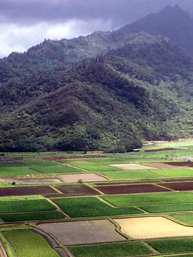 Agricultura in zonele de munte (c) sxc.hu