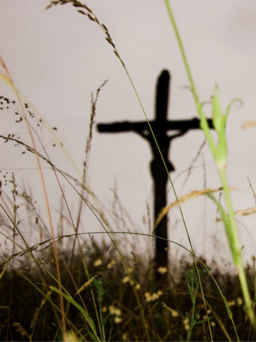 Cruce in iarba
