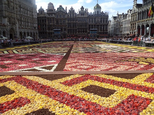 FOTO: Covorul de flori de la Bruxelles (c) eMM.ro