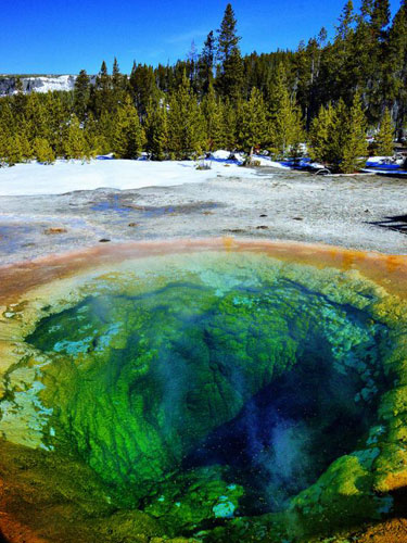 Foto: Morning Glory Pool (c) Urban Titania