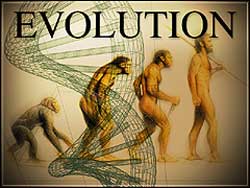 Teoria evolutionista