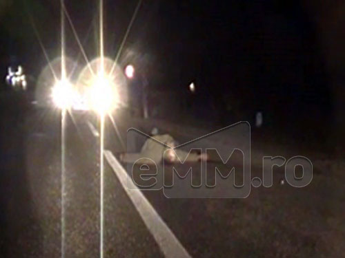 Foto: accident mortal Carbunar (c) eMaramures