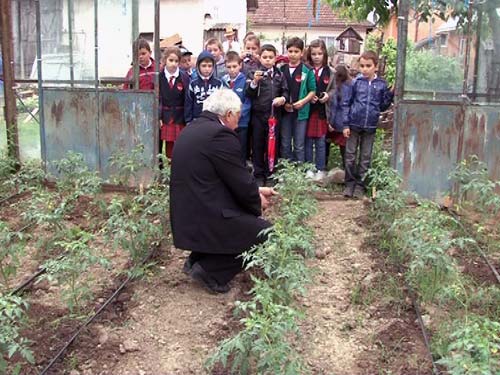 Foto: Copii in sera la Danesti