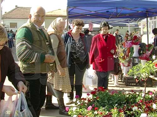 Rasaduri in piata Baia Mare (c) eMM.ro