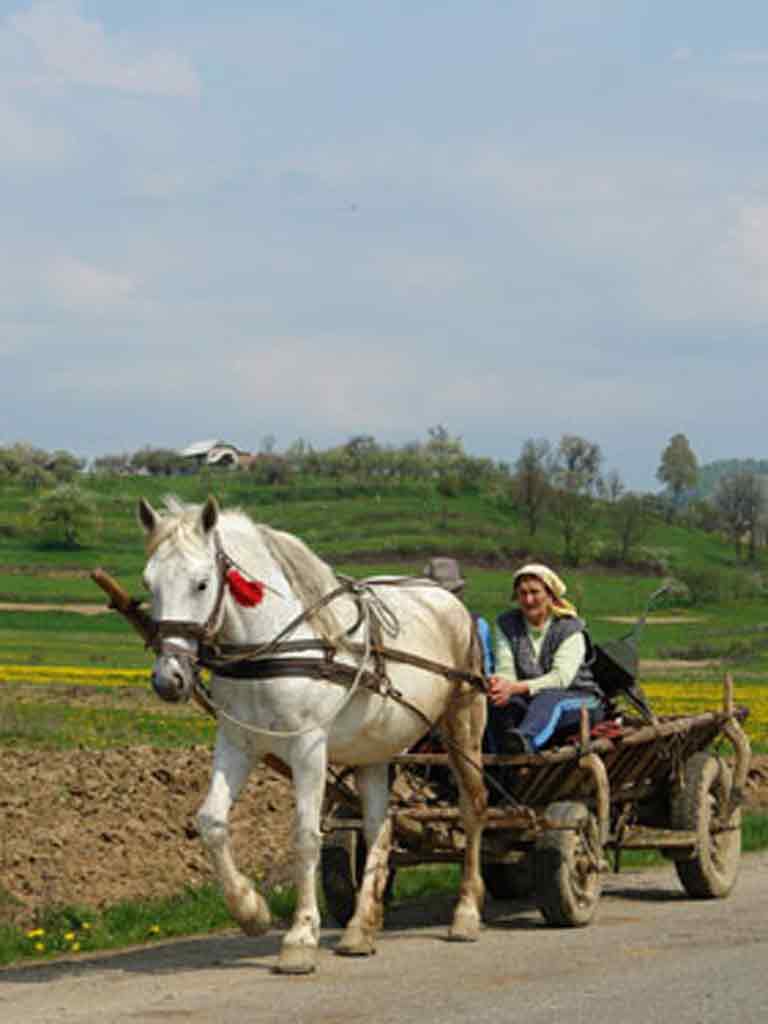 Foto caruta trasa de cal - Maramures (c) eMaramures.ro