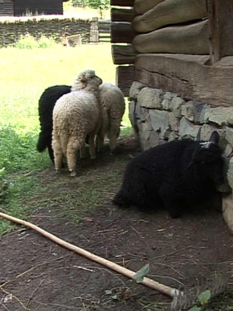 Foto miei Muzeul Satului Baia Mare (c) eMaramures.ro