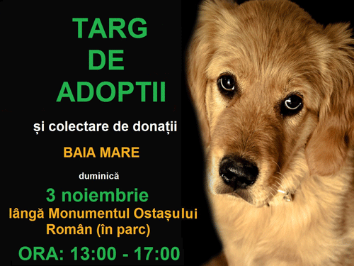 Targ de adoptii