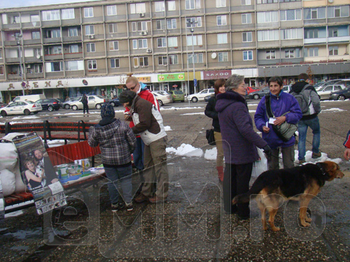 Campanie pentru animale (c) eMM.ro