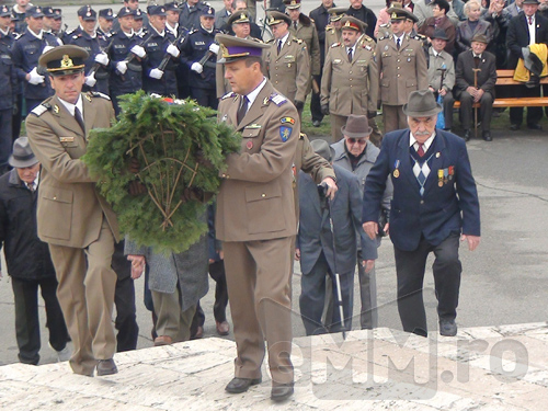 Ziua Armatei in Baia Mare (c) eMM.ro