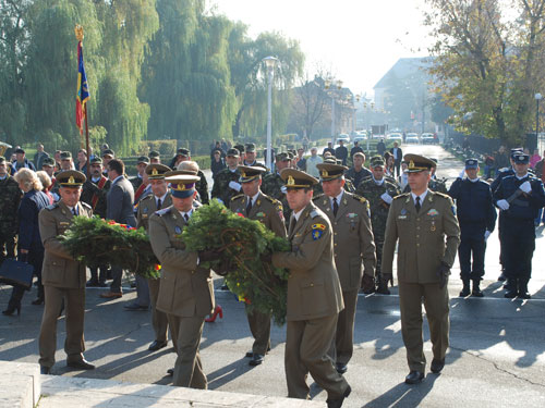 ziua armatei 2013 eMM.ro