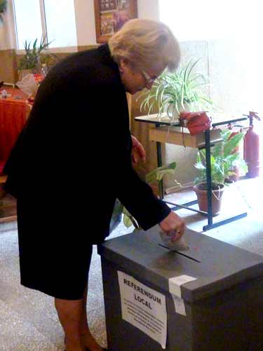 Foto referendum antipoluare Baia Mare - rezultate finale