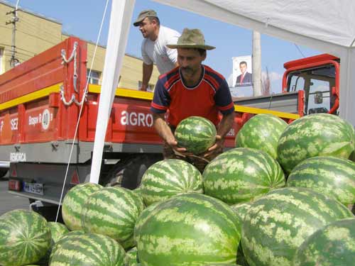 Pepeni confiscati (c) eMM.ro