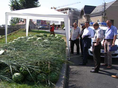 Pepeni confiscati (c) eMM.ro