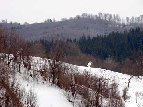 Locatie pentru partia de schi la Baiut (c) eMM.ro