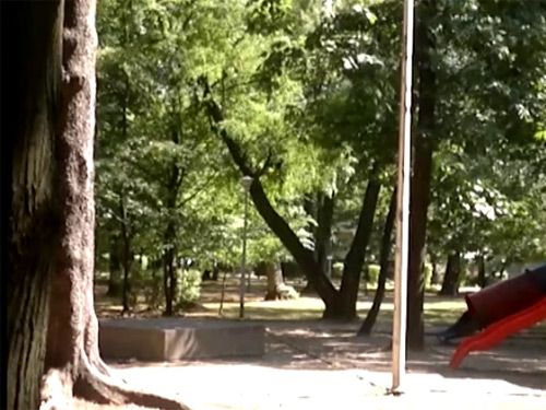 Foto: copac rupt in Parcul Municipal (c) eMaramures