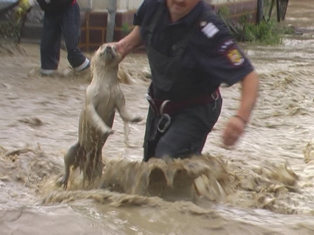 Foto Inundatii Valenii Somcutei - 3 iulie 2009 (c) eMaramures.ro