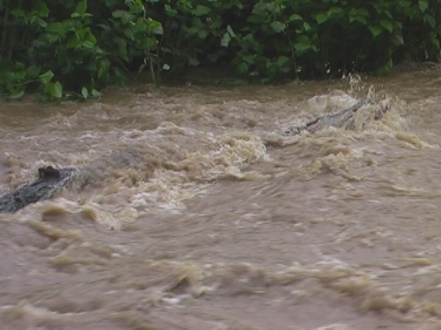 Foto inundatii Maramures - 16 mai 2010