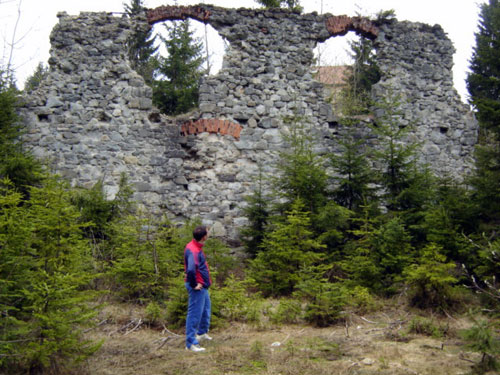 Foto Topitorie de Aur - Logolda - cavnicorasultau.ro