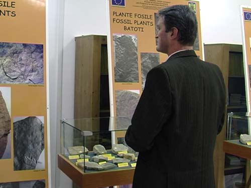 Foto: Expozitie plante fosile