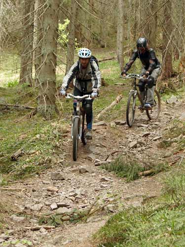 Mountain bikeing (c) sxc.hu
