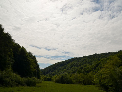 Lunca Valea  Traznea - Salaj (c) eMM.ro