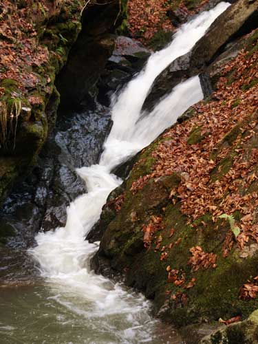 Foto Cascada pe valea Tieiului (c) L.P.G.