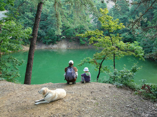Foto verdele Lac Albastru (c) Petru Goja