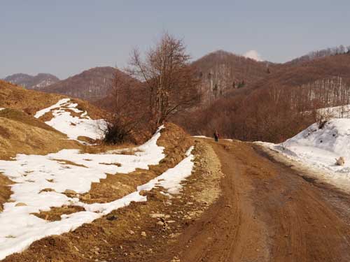 Foto Pe drumul catre schit (c) Petru Goja