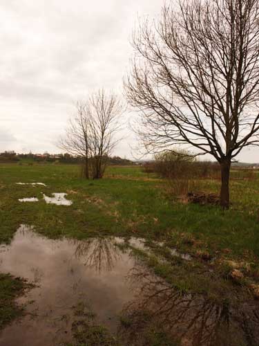 Foto Rodina, La Mociri (c) Petru Goja