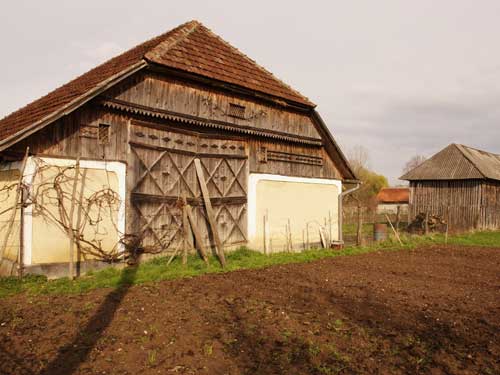 Foto Codreneasca din Rodina (c) Petru Goja