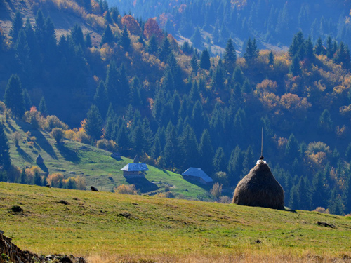 Foto Idilica la S E de Grohote (c) Lucian Petru Goja