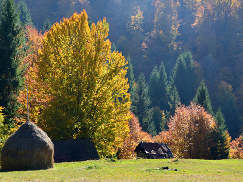 Foto Pe Valea Marei (c) Lucian Petru Goja