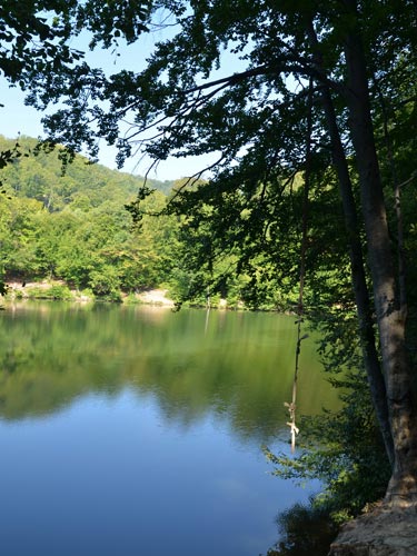 Foto Lacul Bodi, Ferneziu (c) Lucian Petru Goja