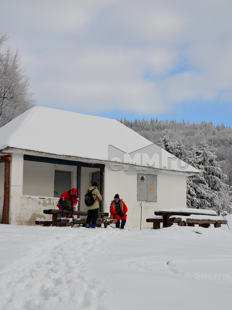 Foto: Dealul Comja - Seini, padurea Eminescu (c) eMaramures.ro - Lucian Petru Goja