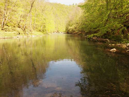 Foto Acuarela lapuseana la Balta Dosului de pe Rau (c) Petru Goja