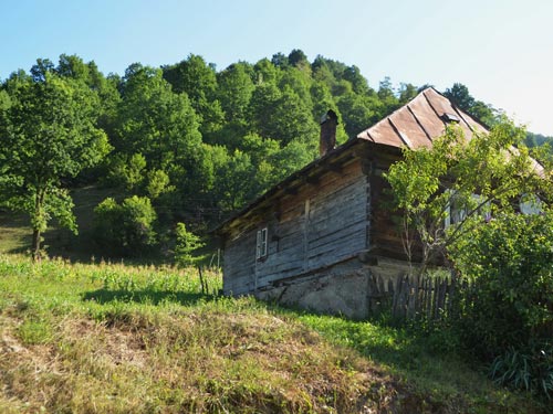 Foto La intrarea in Valea Stejarului (c) Lucian Petru Goja