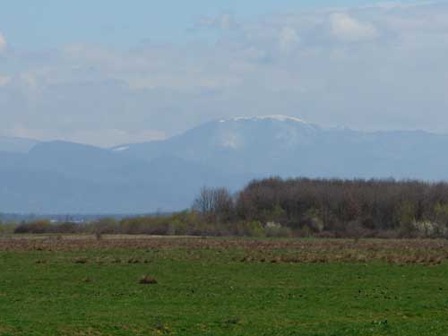 Foto Proaspat nins Ignisul (c) Petru Goja