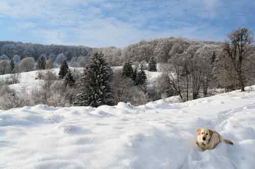 Iarna Maramures, saua Dia