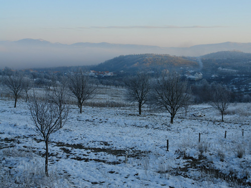 Foto la Eminescu Seini (c) Petru Goja