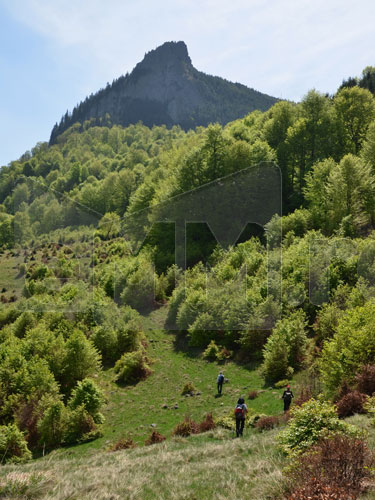 Foto: Creasta Cocosului (c) eMaramures.ro