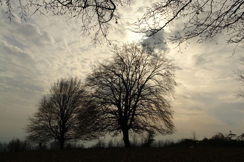 Vreme inchisa in Maramures - primavara (c) eMM.ro