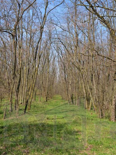 Foto: Gradina Cailor, Satu Mare (c) eMaramures.ro