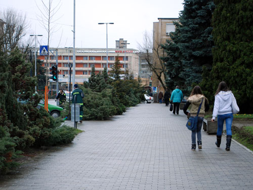 Foto: Oameni pe strada
